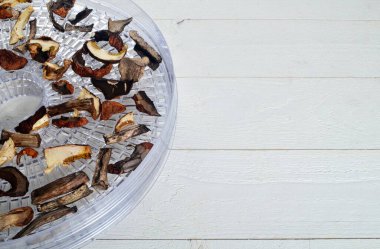 Kurutulmuş mantarlar, kurutucu tepside dilimler. Kurutulmuş porcini mantarları. Boşluk ve metin alanını kopyala