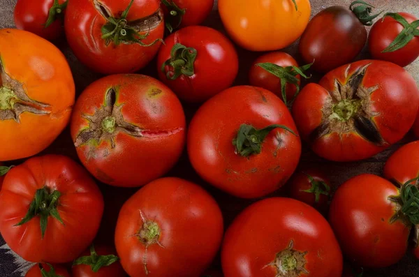 Abundancia Tomates Orgánicos Maduros Sobre Fondo Rústico Oscuro Tomates Coloridos —  Fotos de Stock