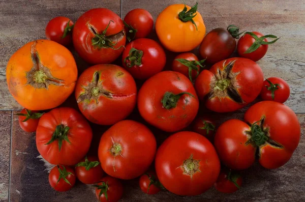 Abundância Tomates Orgânicos Maduros Fundo Rústico Escuro Tomates Coloridos — Fotografia de Stock