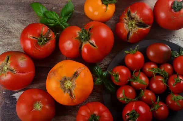 Barevná Organická Rajčata Červená Rajčata Žlutá Rajčata Bazalkový Kopr Rajčata — Stock fotografie