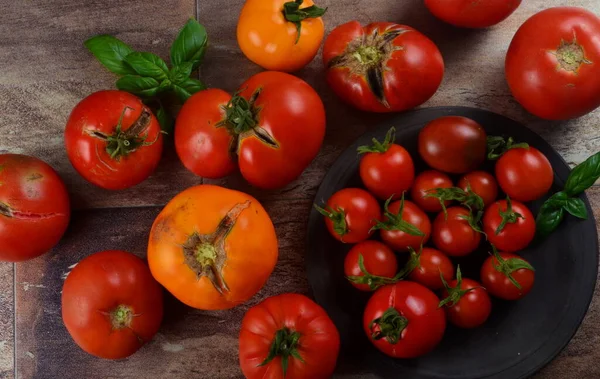 Los Tomates Coloridos Orgánicos Los Tomates Rojos Los Tomates Amarillos —  Fotos de Stock