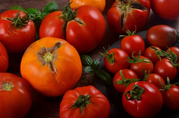 カラフルな有機トマト 赤いトマトと黄色のトマトとバジルとディル トマトの背景 — ストック写真
