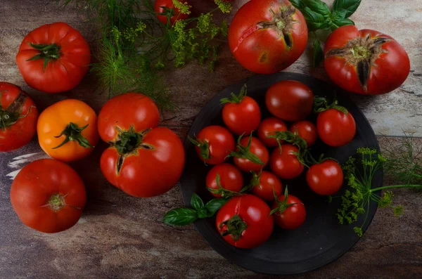 Bunte Bio Tomaten Rote Tomaten Und Gelbe Tomaten Und Basilikum — Stockfoto