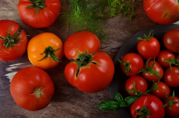 Bunte Bio Tomaten Rote Tomaten Und Gelbe Tomaten Und Basilikum — Stockfoto