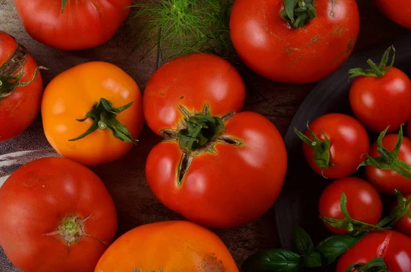 Tomates Rojos Maduros Albahaca Eneldo Sobre Fondo Rústico Oscuro Cosecha —  Fotos de Stock