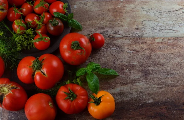 Bunte Bio Tomaten Rote Tomaten Und Gelbe Tomaten Und Basilikum — Stockfoto