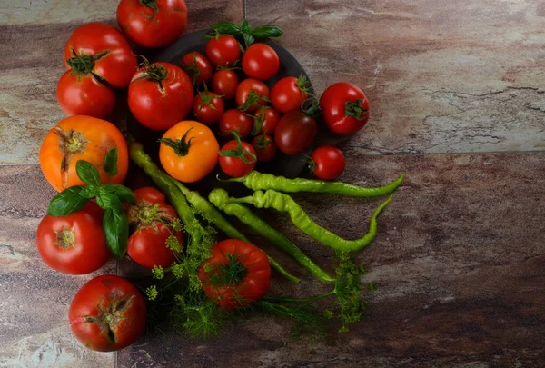 Rote Reife Tomaten Und Basilikum Dill Und Grüne Chilischoten Auf — Stockfoto