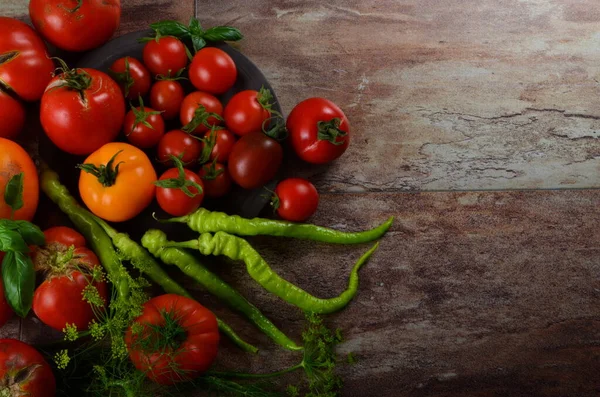 Rote Reife Tomaten Und Basilikum Dill Und Grüne Chilischoten Auf — Stockfoto