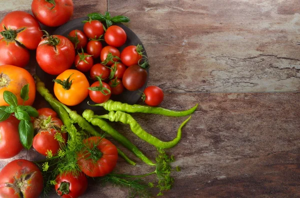 Tomates Rojos Maduros Albahaca Eneldo Chile Verde Sobre Fondo Oscuro —  Fotos de Stock