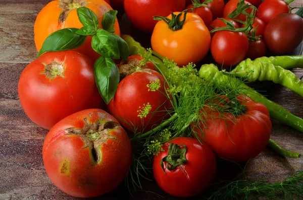 Rote Reife Tomaten Und Basilikum Dill Auf Dunklem Rustikalem Hintergrund — Stockfoto
