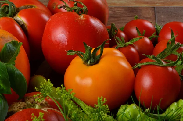 Pomodori Rossi Maturi Basilico Aneto Fondo Rustico Scuro Raccolta Pomodori — Foto Stock