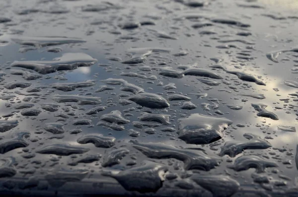 Rain drops on top of the dark car roof.Water drops on car roof after raining , selective focus