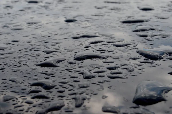 Rain drops on top of the dark car roof.Water drops on car roof after raining , selective focus