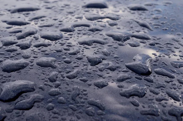 Rain drops on top of the dark car roof.Water drops on car roof after raining , selective focus