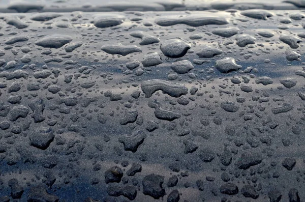 Rain drops on top of the dark car roof.Water drops on car roof after raining , selective focus