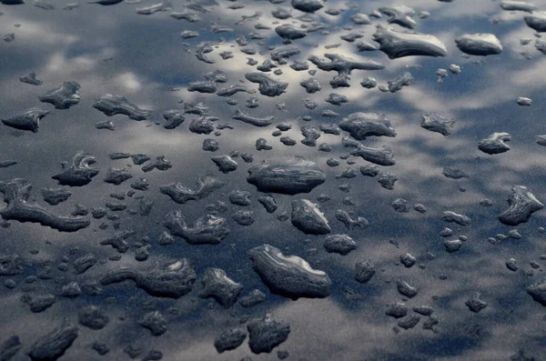 Rain drops on top of the dark car roof.Water drops on car roof after raining , selective focus