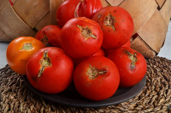 Rotten many red tomato. Tomatoes damaged by pest. Mold on vegetables.