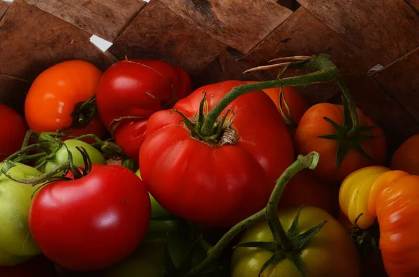 Tomates Ecológicos Frescos Una Cesta Madera Mimbre —  Fotos de Stock