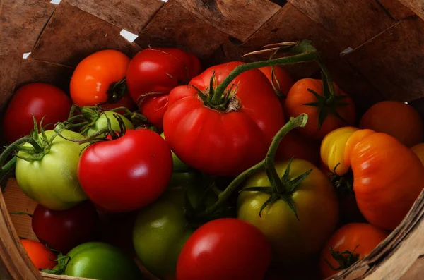 Fresh Organic Tomatoes Wicker Wooden Basket — Stock Photo, Image