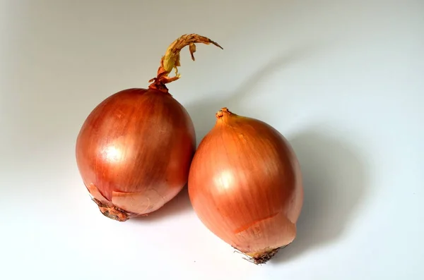 Duas Grandes Cebolas Doces Fundo Branco Cebola Amarela — Fotografia de Stock