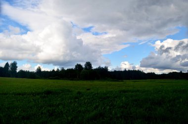 Yaz boyunca kara fırtına bulutları, Letonya 'nın ön planında ağaçlar ve çayırlar olan manzara. Düşük bulutlar