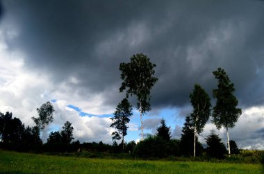 Yaz boyunca kara fırtına bulutları, Letonya 'nın ön planında ağaçlar ve çayırlar olan manzara. Düşük bulutlar