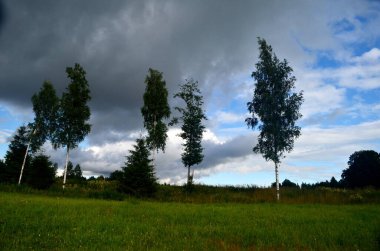 Yaz boyunca kara fırtına bulutları, Letonya 'nın ön planında ağaçlar ve çayırlar olan manzara. Düşük bulutlar