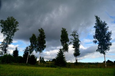 Yaz boyunca kara fırtına bulutları, Letonya 'nın ön planında ağaçlar ve çayırlar olan manzara. Düşük bulutlar