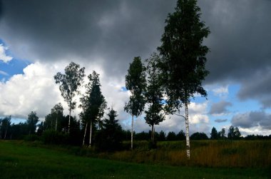 Yaz boyunca kara fırtına bulutları, Letonya 'nın ön planında ağaçlar ve çayırlar olan manzara. Düşük bulutlar