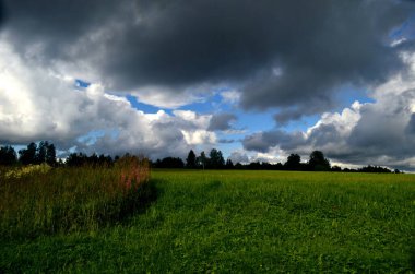 Yaz boyunca kara fırtına bulutları, Letonya 'nın ön planında ağaçlar ve çayırlar olan manzara. Düşük bulutlar