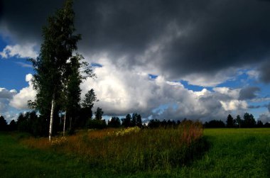Yaz boyunca kara fırtına bulutları, Letonya 'nın ön planında ağaçlar ve çayırlar olan manzara. Düşük bulutlar