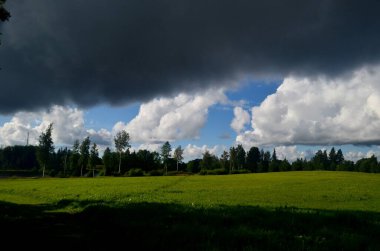 Yaz boyunca kara fırtına bulutları, Letonya 'nın ön planında ağaçlar ve çayırlar olan manzara. Düşük bulutlar