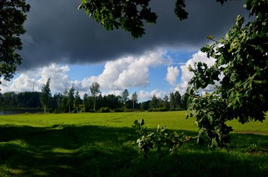 Yaz boyunca kara fırtına bulutları, Letonya 'nın ön planında ağaçlar ve çayırlar olan manzara. Düşük bulutlar