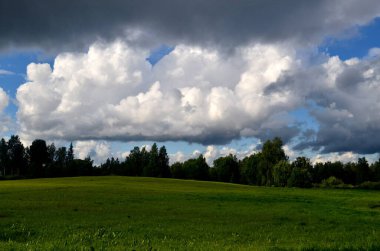 Yaz boyunca kara fırtına bulutları, Letonya 'nın ön planında ağaçlar ve çayırlar olan manzara. Düşük bulutlar