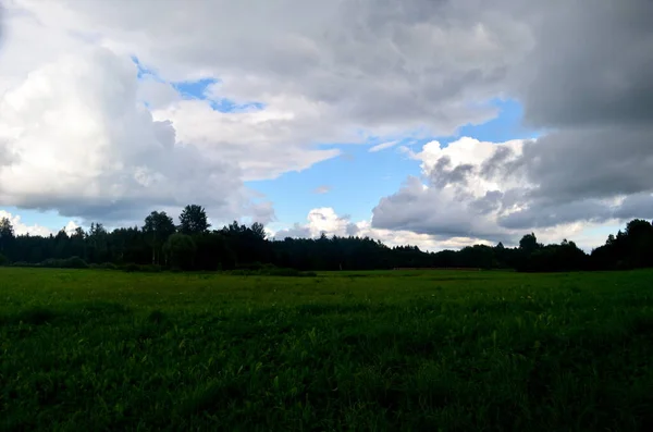 Schwarze Gewitterwolken Sommer Landschaft Mit Bäumen Und Wiesen Vordergrund Lettland — Stockfoto