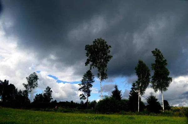 Yaz boyunca kara fırtına bulutları, Letonya 'nın ön planında ağaçlar ve çayırlar olan manzara. Düşük bulutlar