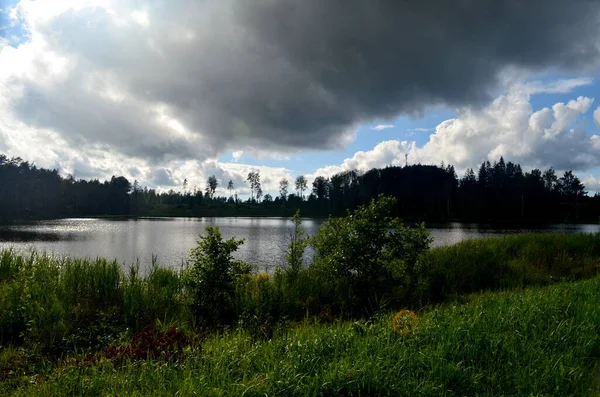 Nubes Tormenta Negra Durante Verano Paisaje Con Árboles Prados Primer — Foto de Stock