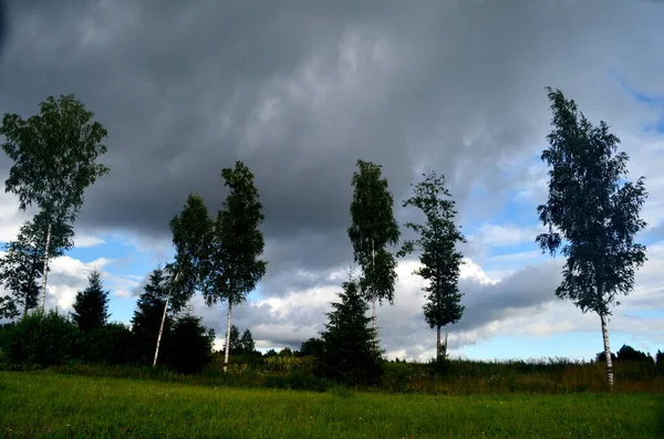 Yaz boyunca kara fırtına bulutları, Letonya 'nın ön planında ağaçlar ve çayırlar olan manzara. Düşük bulutlar