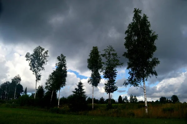 夏の間の黒い嵐の雲 ラトビアの前景に木や牧草地がある風景 — ストック写真