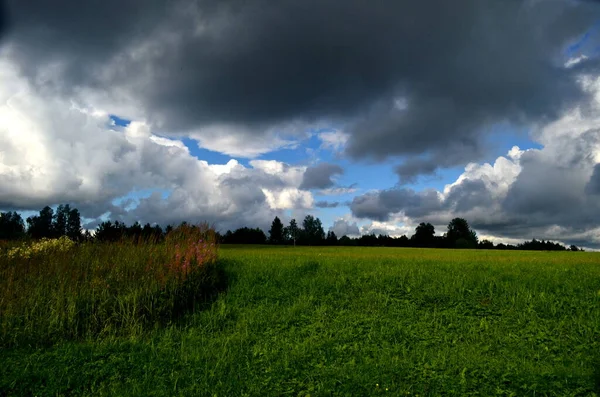 Nubes Tormenta Negra Durante Verano Paisaje Con Árboles Prados Primer — Foto de Stock