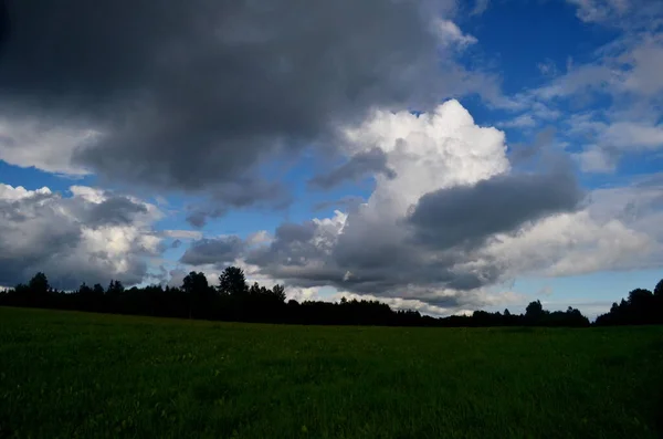 Nuvens Negras Tempestade Durante Verão Paisagem Com Árvores Prados Primeiro — Fotografia de Stock
