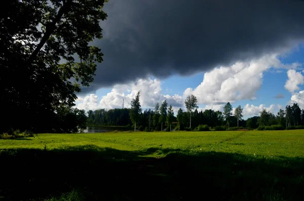 夏の間の黒い嵐の雲 ラトビアの前景に木や牧草地がある風景 — ストック写真