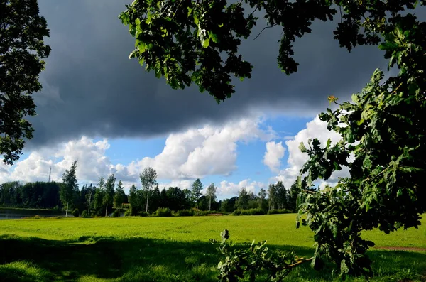 Černá Bouře Mraky Létě Krajina Stromy Loukami Popředí Lotyšsku Nízká — Stock fotografie