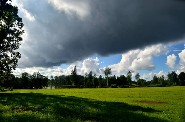 Yaz boyunca kara fırtına bulutları, Letonya 'nın ön planında ağaçlar ve çayırlar olan manzara. Düşük bulutlar