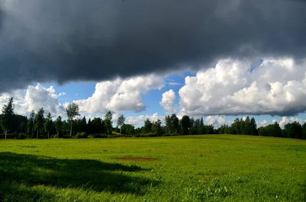 Černá Bouře Mraky Létě Krajina Stromy Loukami Popředí Lotyšsku Nízká — Stock fotografie