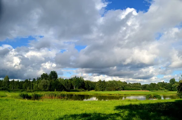 Czarne Chmury Burzowe Latem Krajobraz Drzewami Łąkami Pierwszym Planie Łotwie — Zdjęcie stockowe