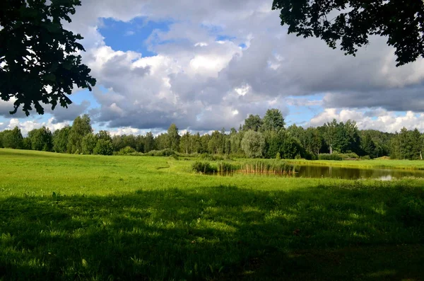 夏の間の黒い嵐の雲 ラトビアの前景に木や牧草地がある風景 — ストック写真