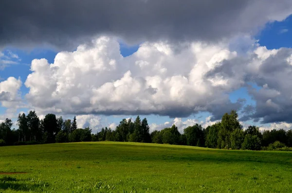 Nubes Tormenta Negra Durante Verano Paisaje Con Árboles Prados Primer — Foto de Stock