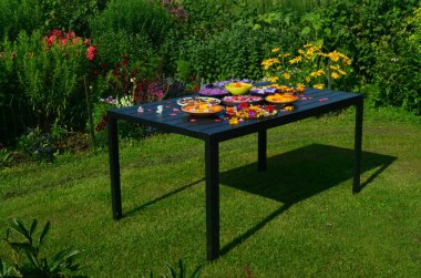 Su yüzeyinde yuvarlak bir kapta yüzen çok renkli bahçe çiçekleri. Arka planda çiçekli bir bahçe. Çiçekler su dolu bir kabın içinde yüzerler. Çiçek mandala