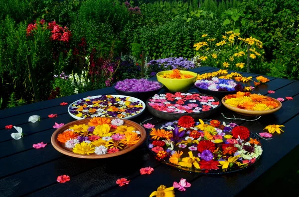 Fleurs Jardin Multicolores Flottant Sur Surface Eau Dans Récipient Rond — Photo